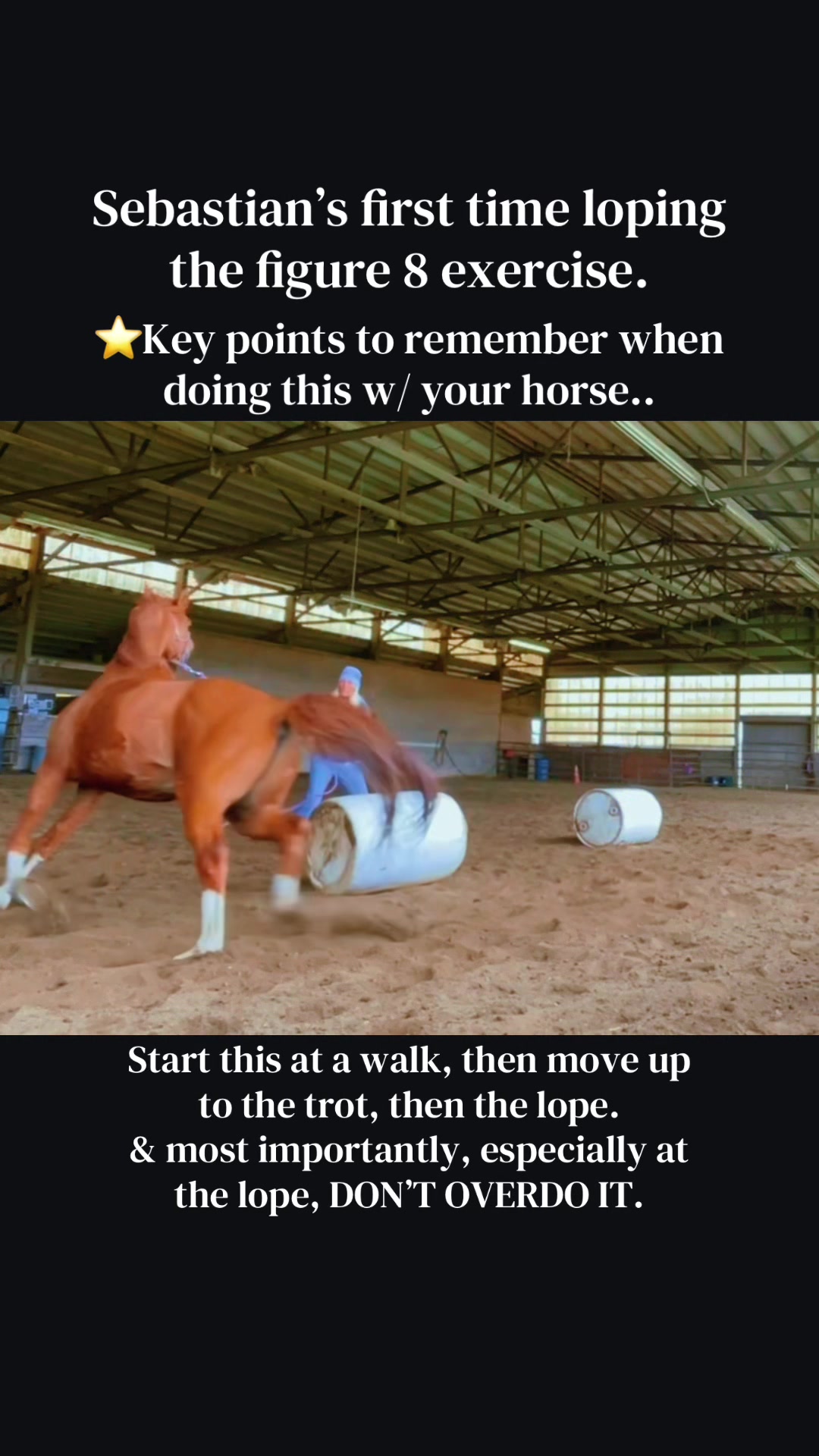 @Pony Girl