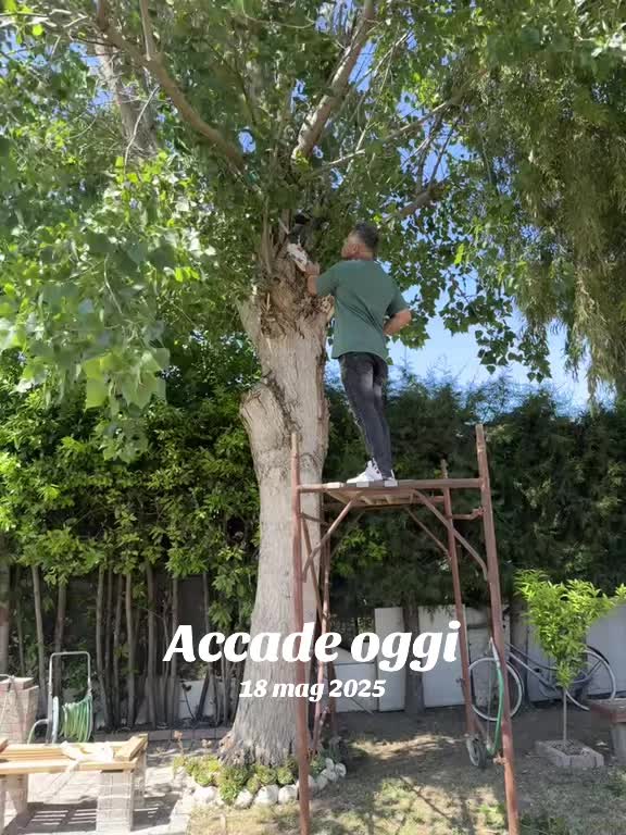 @Il_lavaggista_di_tiktok