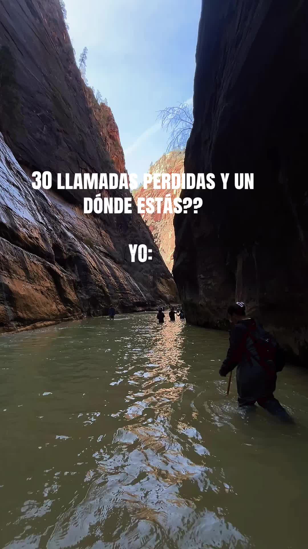 @Ale Almanzar