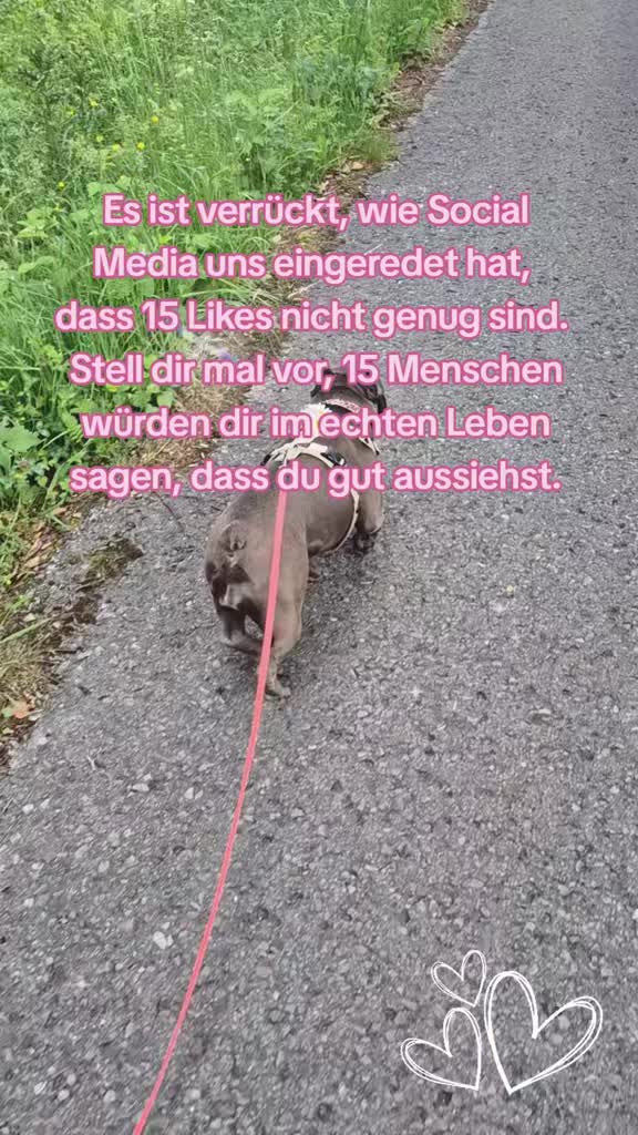 @FrenchieFrieda