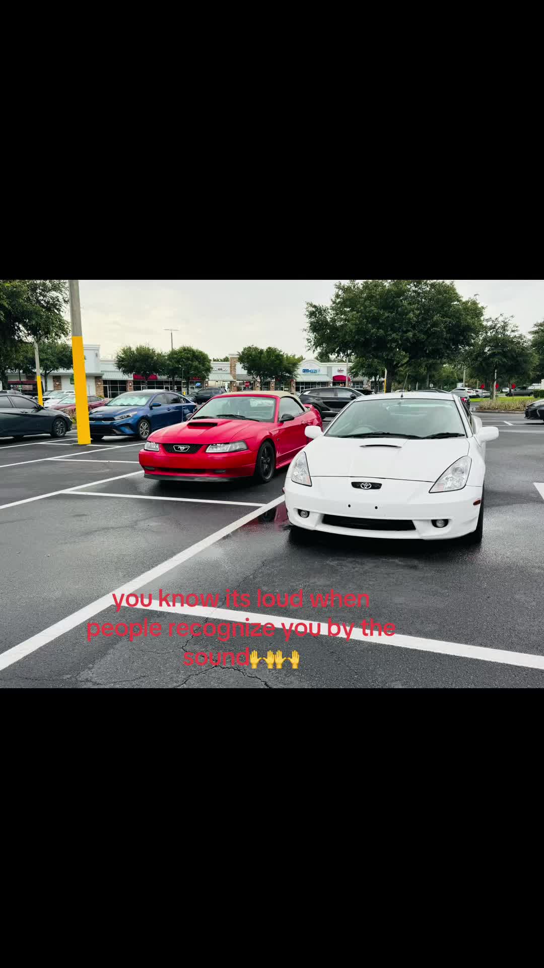 @that.new.edgemustang