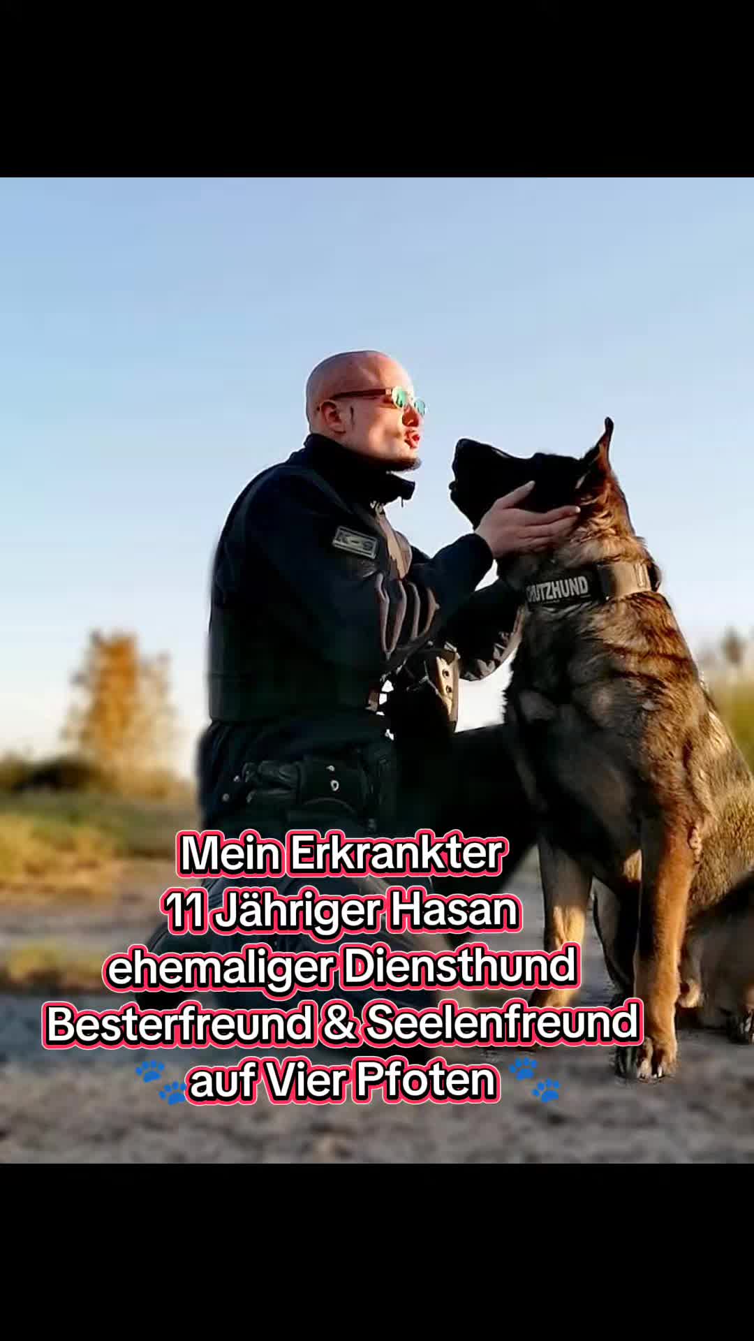 @K9 Palatinus-Unit☑️