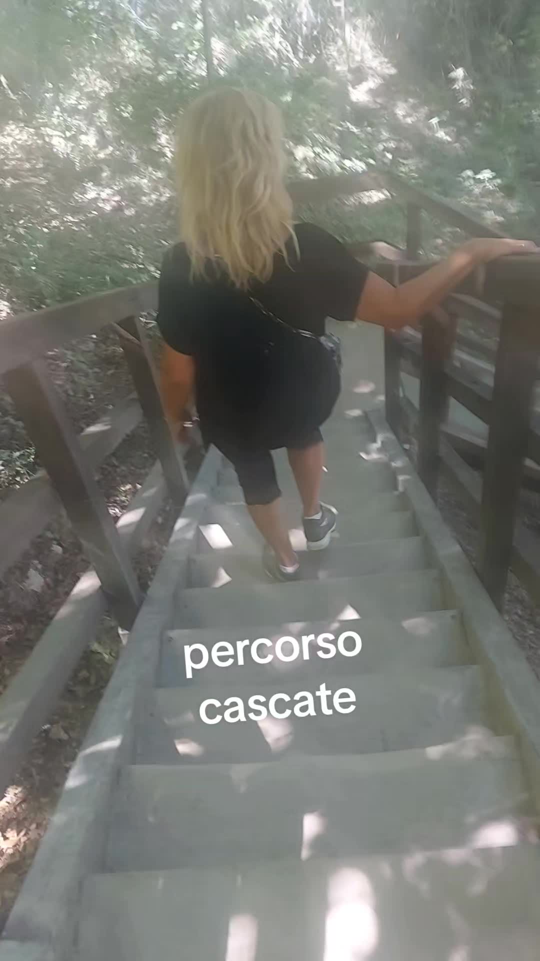 @franco senato