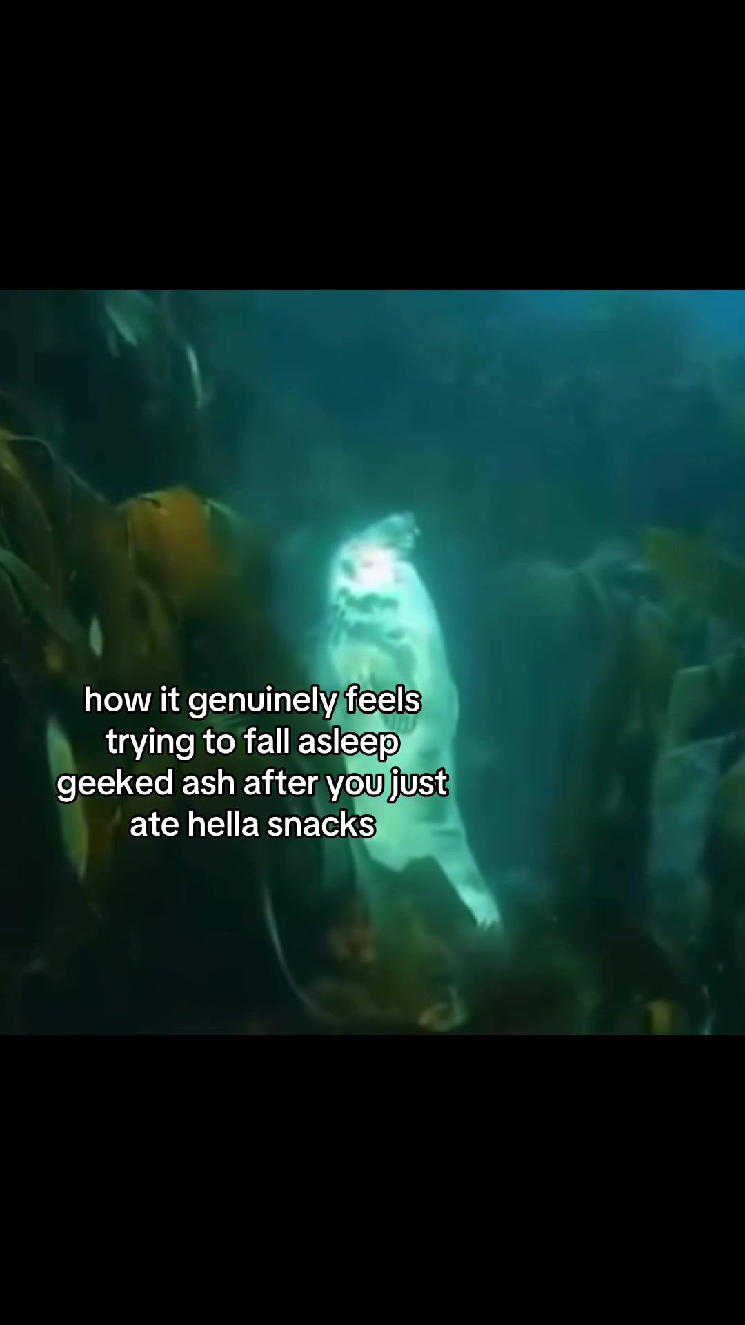 @it’s dan!