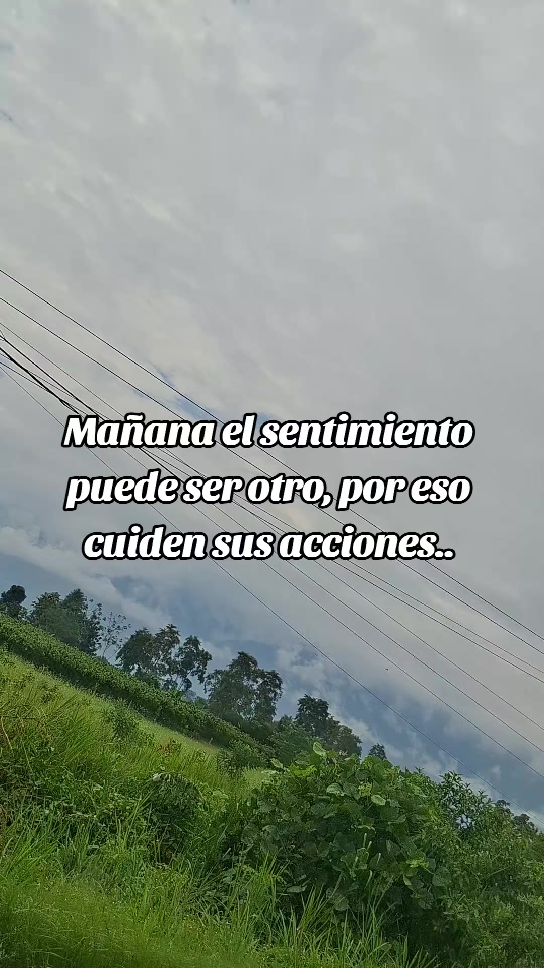@La Reyna Roja