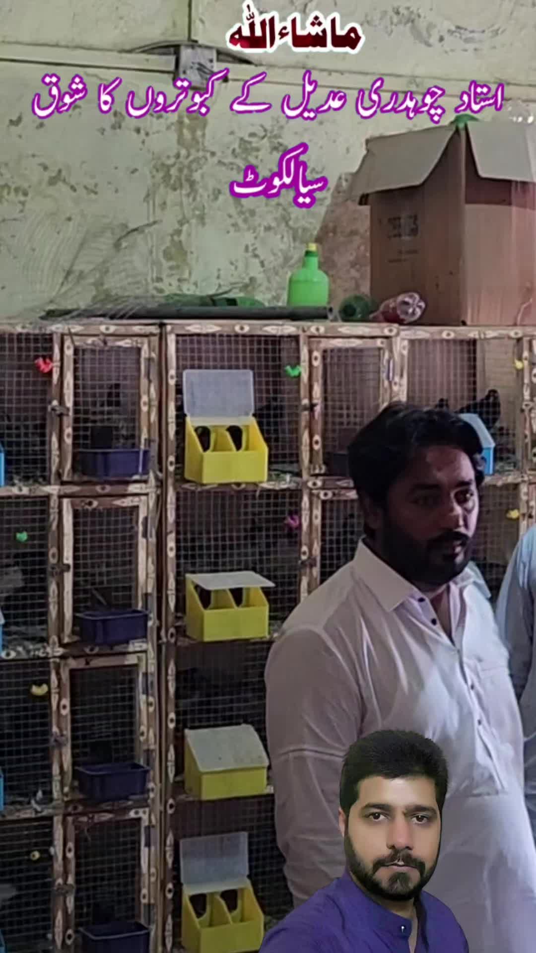@amrakalan5