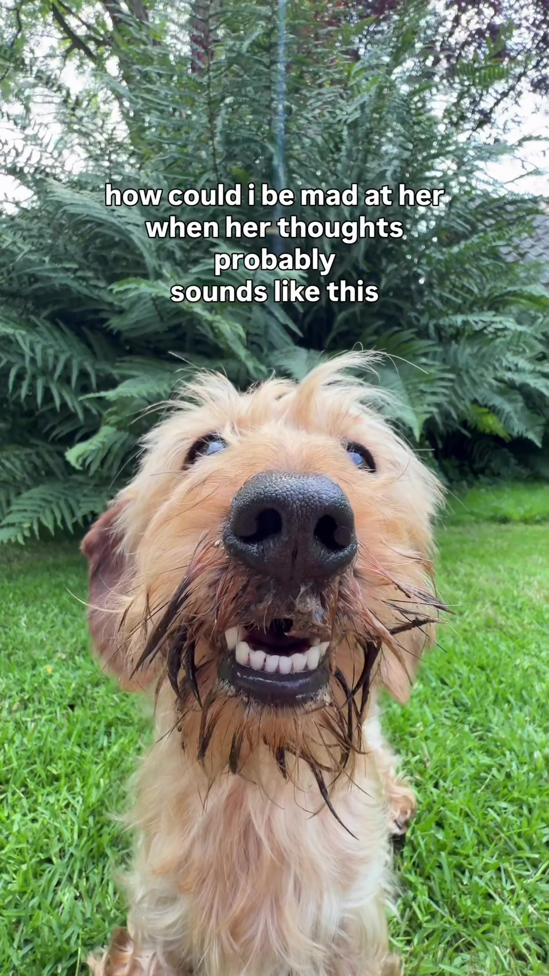 @lifeoflunabowie