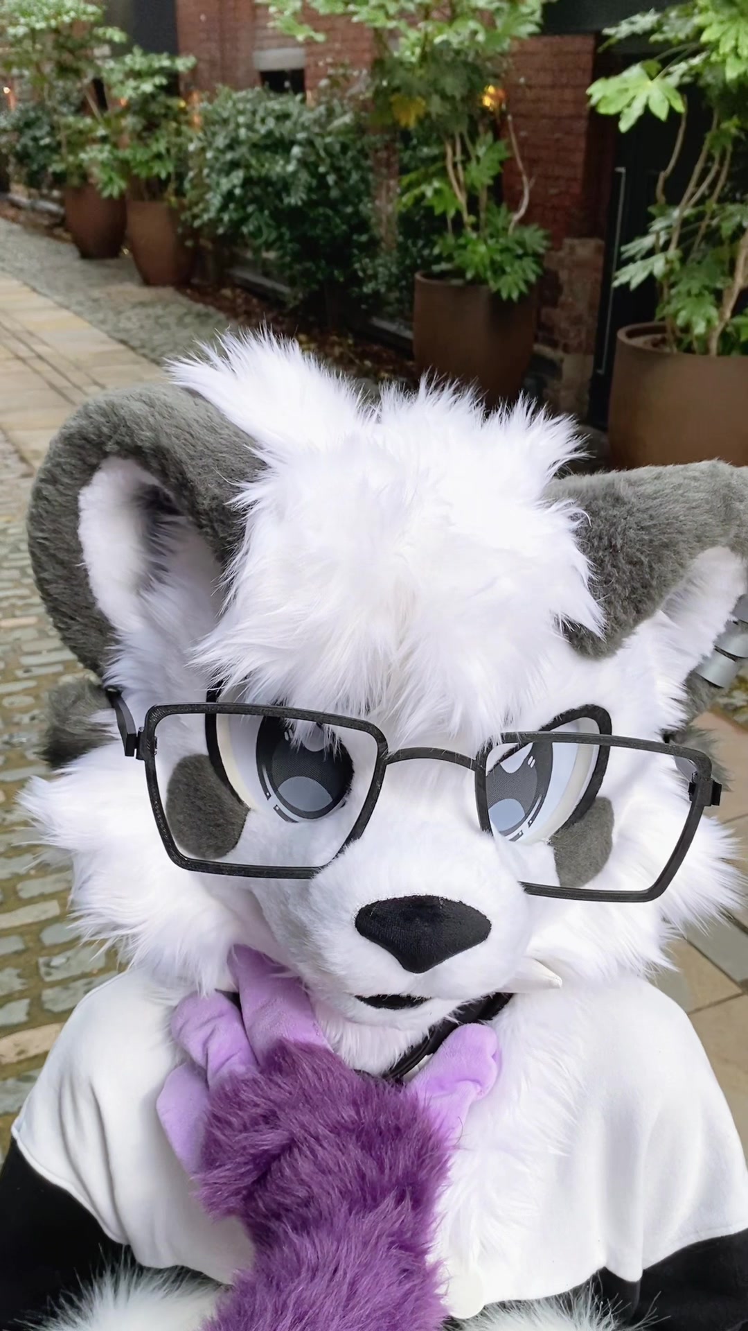 @🎬Lykoi🐾