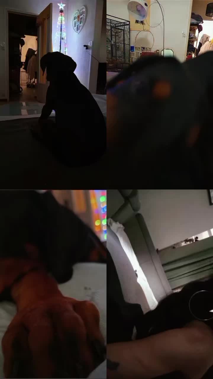 @Dj_Aniballe