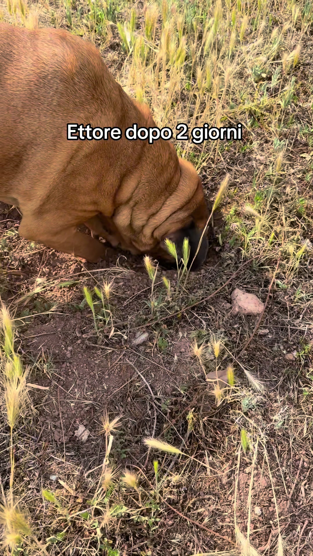@giulia🦋