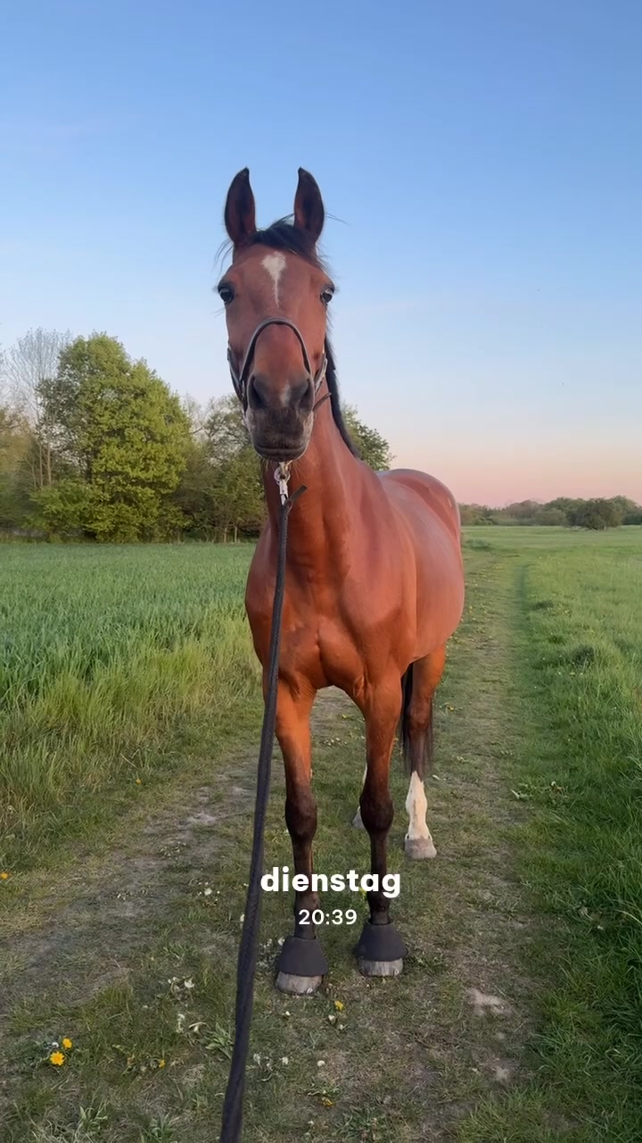 @Prinzessinlillifeeeeee