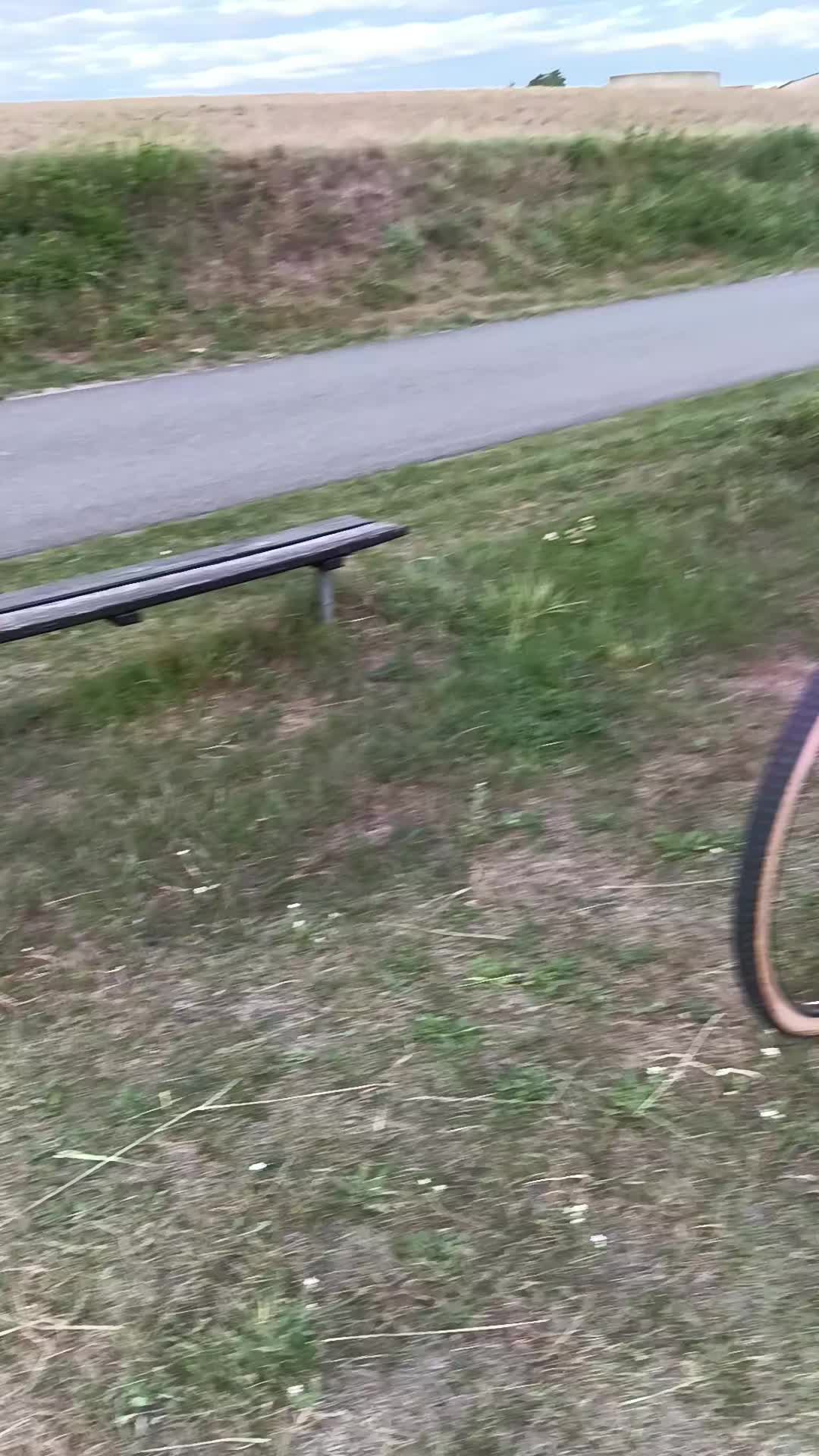 @Blauer Klappi Fan