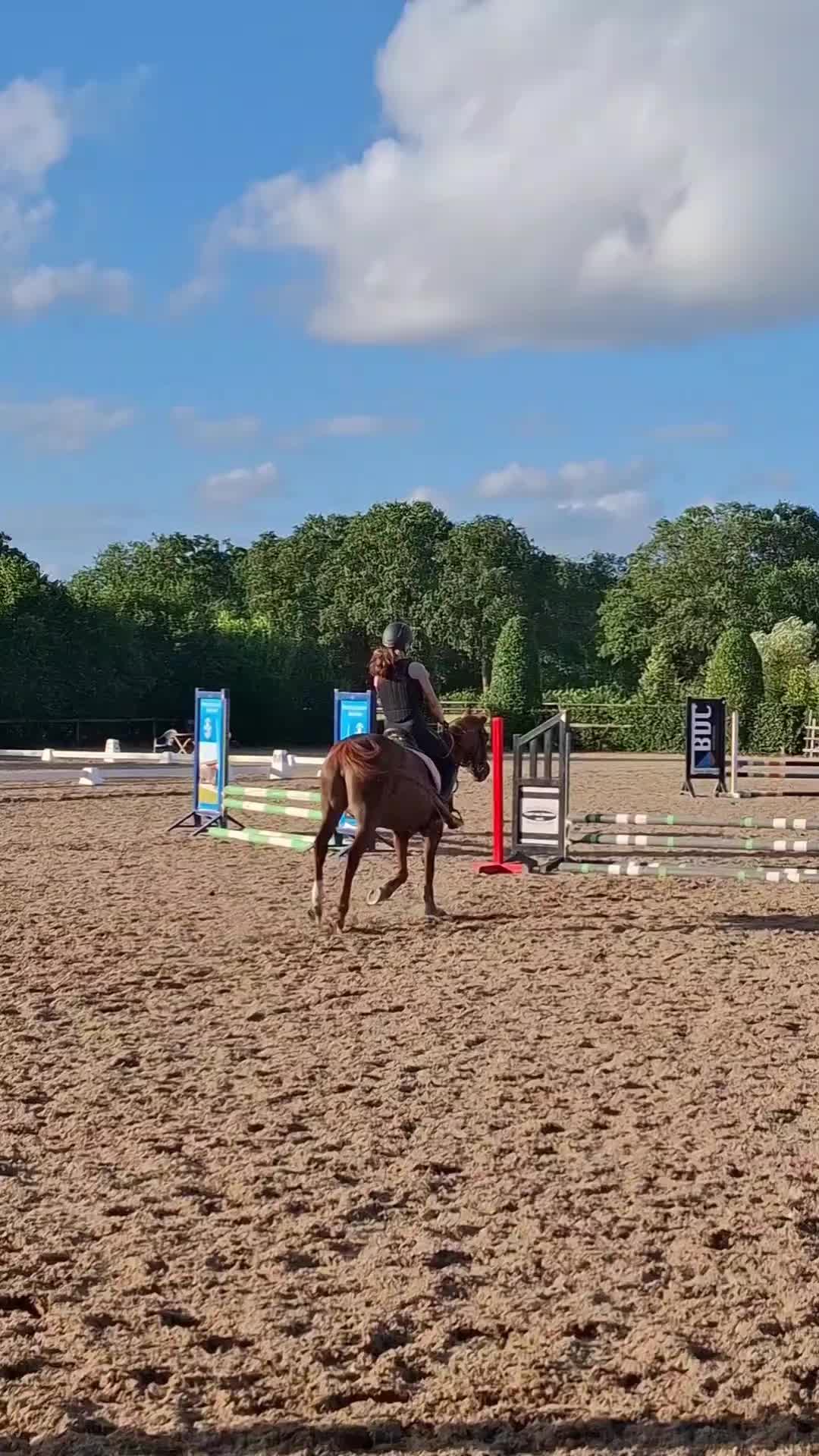 @horses.by.Britt:)