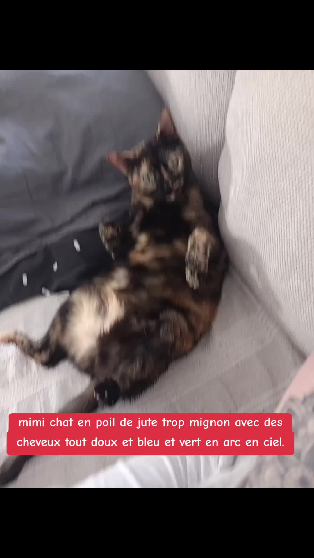 @Alexia