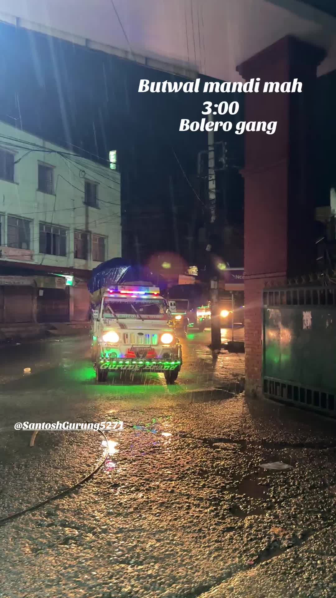 @तिलोत्तमा टाईगर🐯