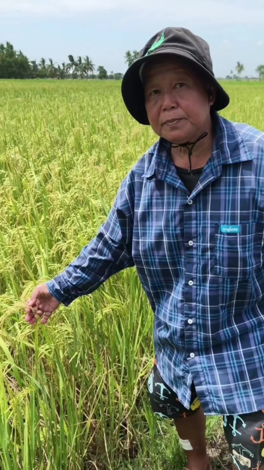 @🌾AgriMan on Field🌾