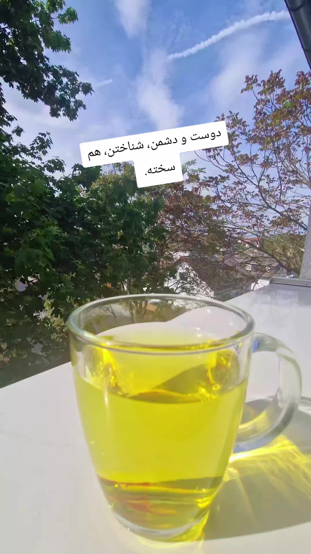 @Atena afshar 2425
