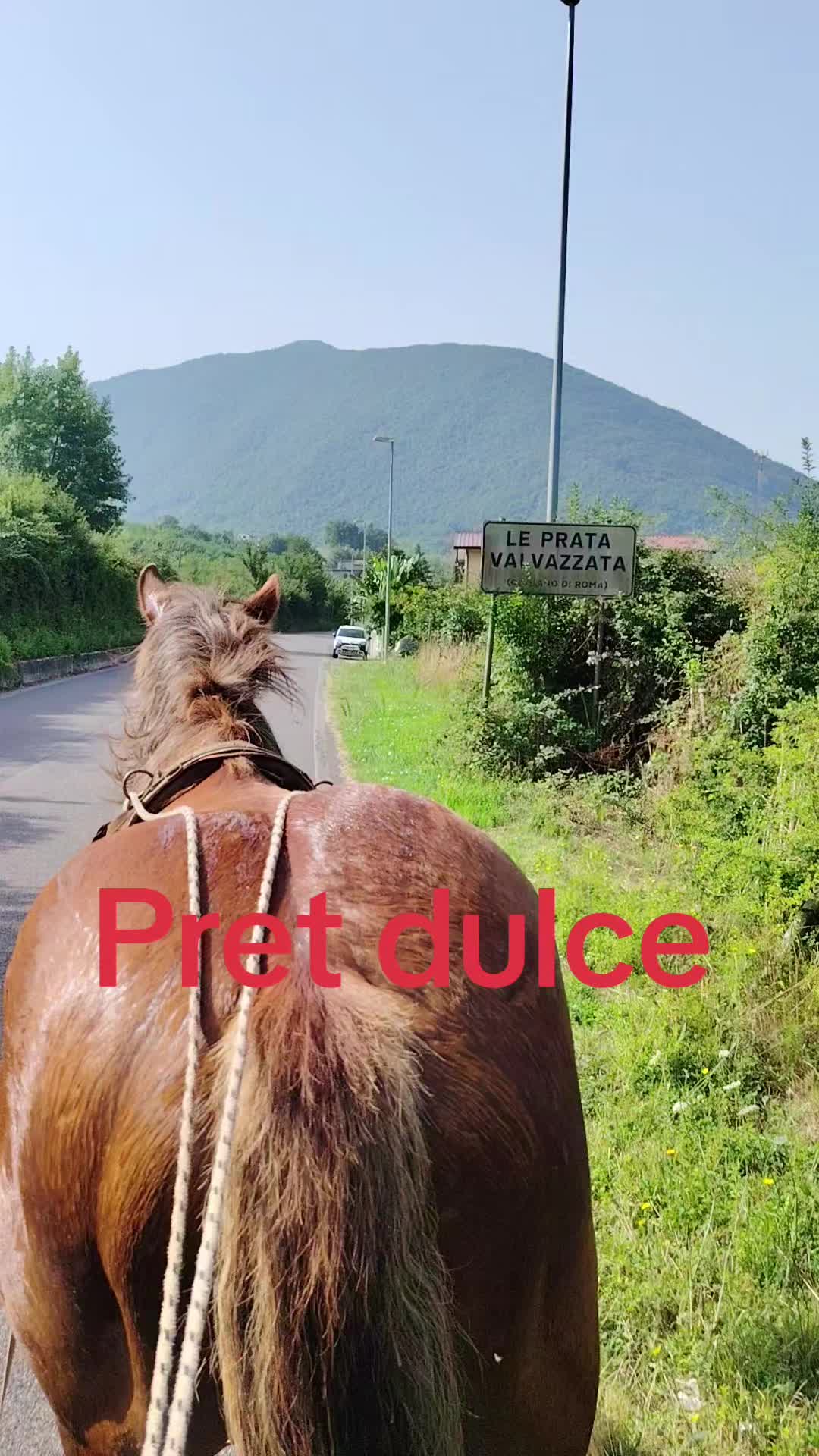 @Olaru Alex