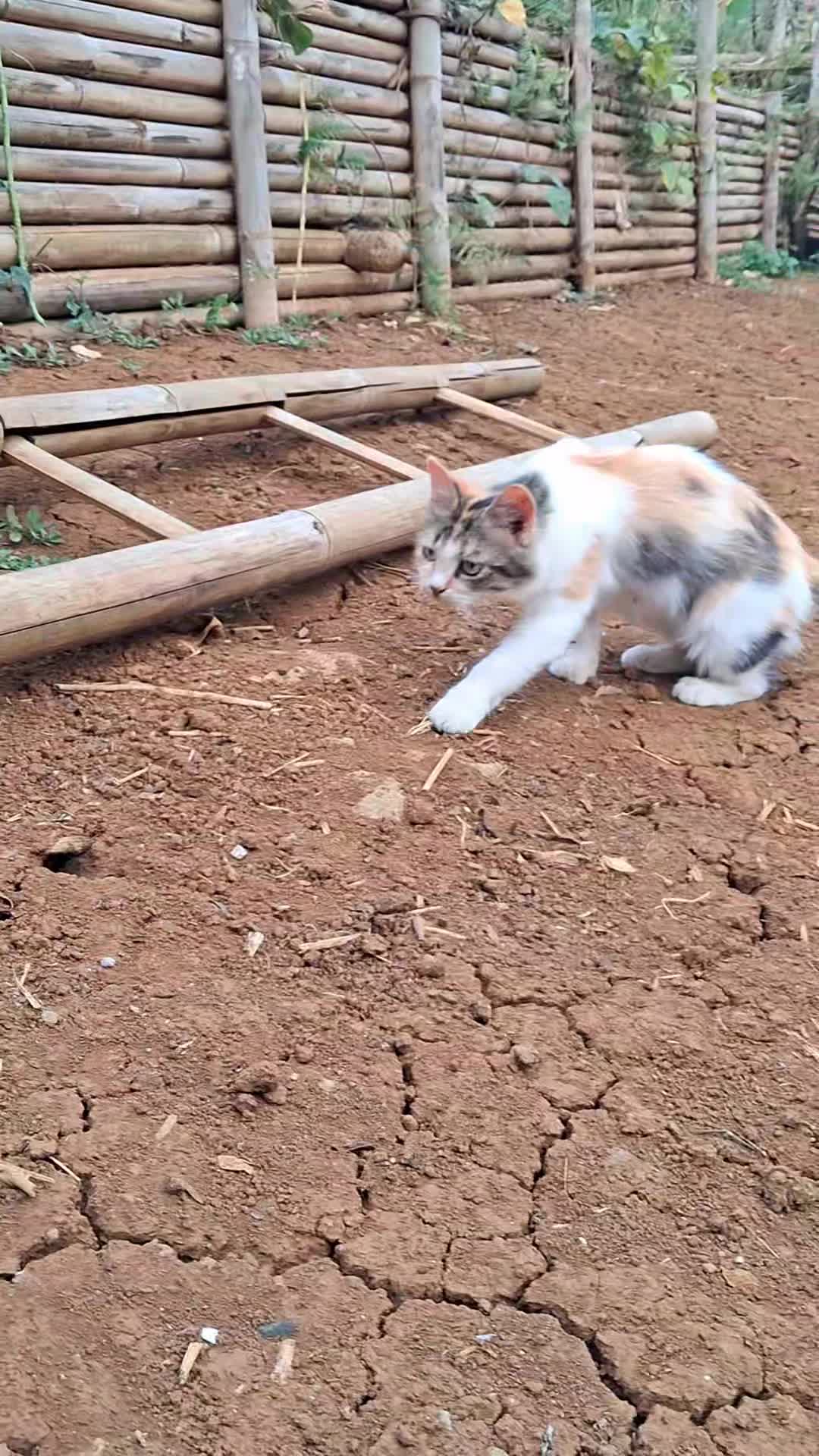 @Hꫀׁׅܻᥣׁׅ֪ᥣׁׅ֪ꫀׁׅܻꪀׁׅꪀׁׅ'꯱ׁׅ֒