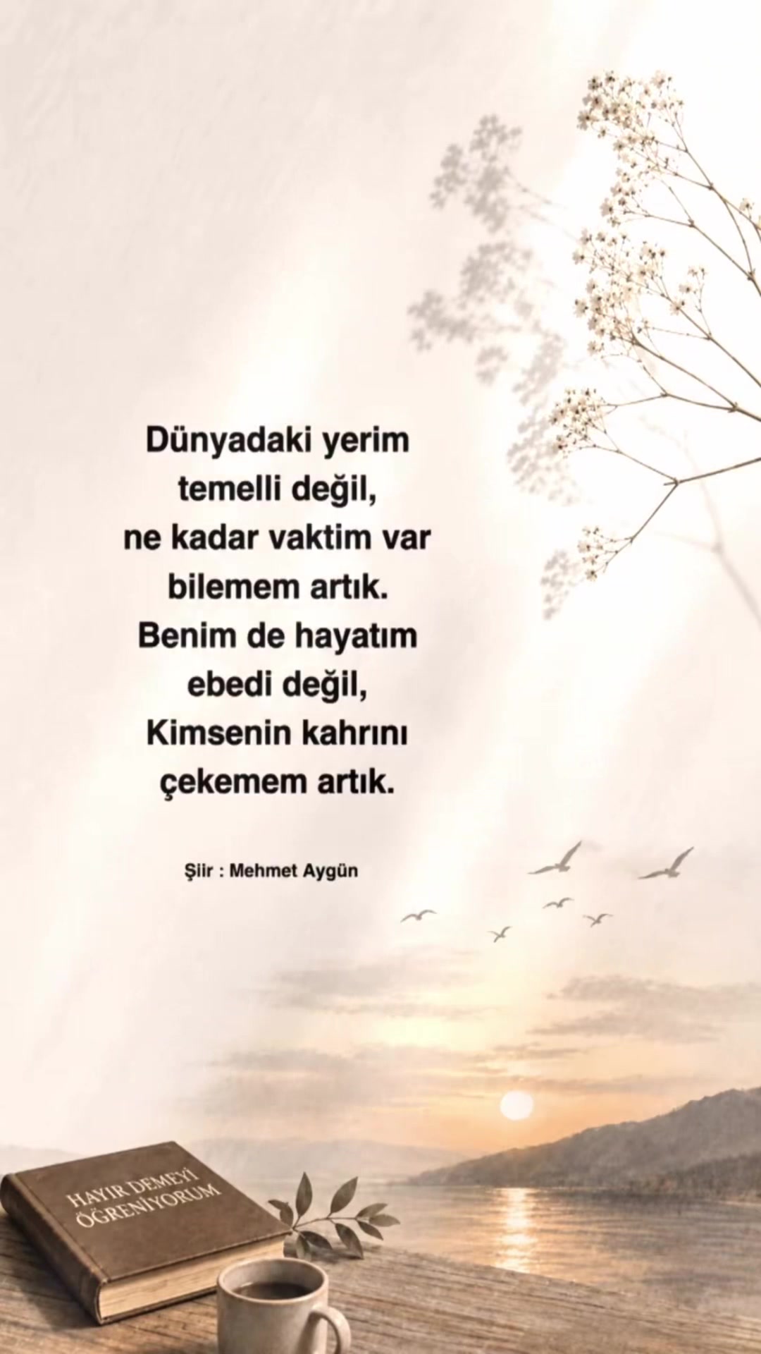 @Mehmet Aygün
