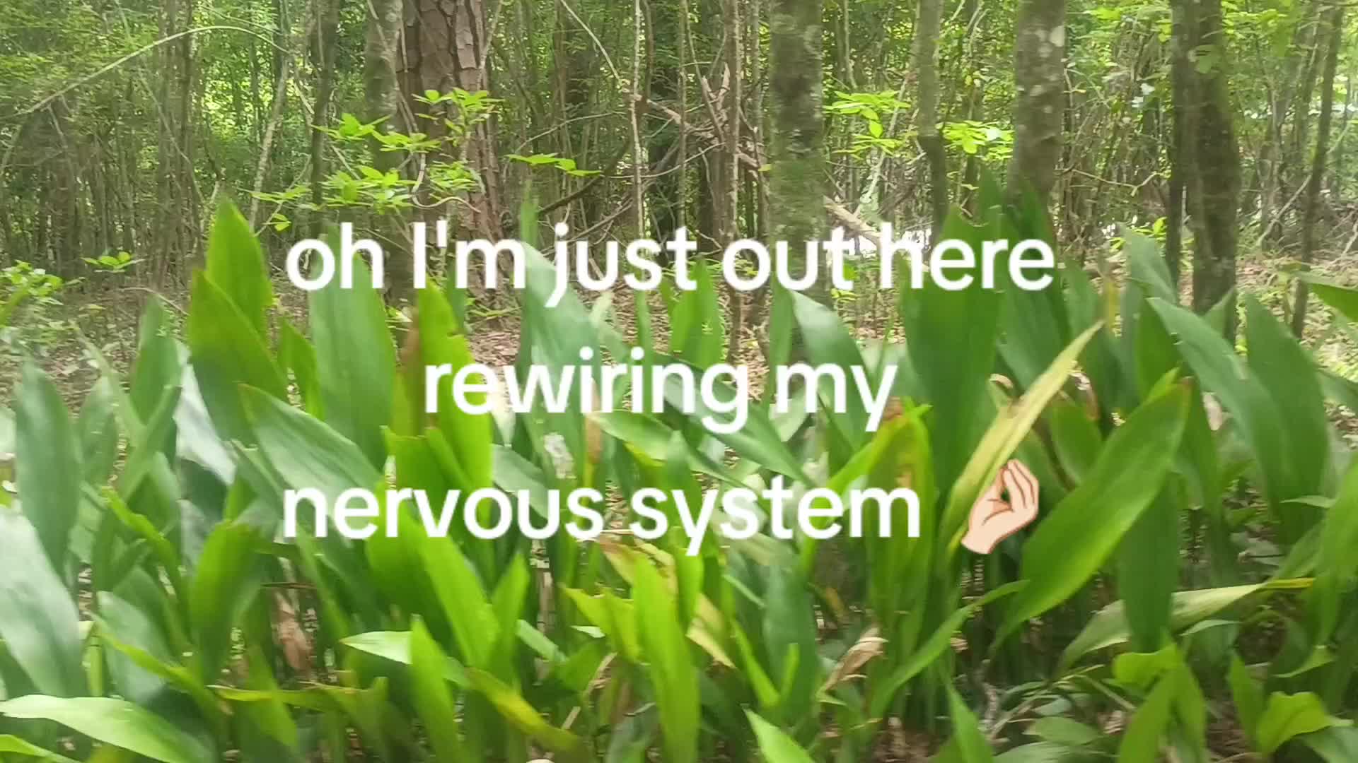 @foxandfernfilmco