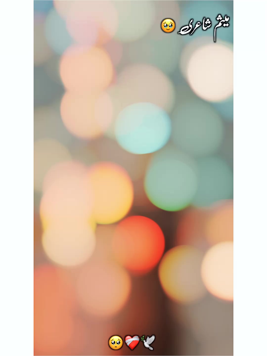 @𝗧𝗮ن𝘄𝗲𝗲𝗿 𝗔𝗵𝗺𝗮𝗱 🍁