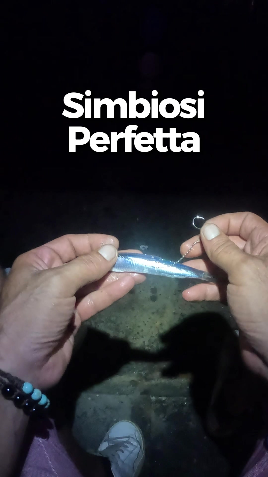 @Luca Meola