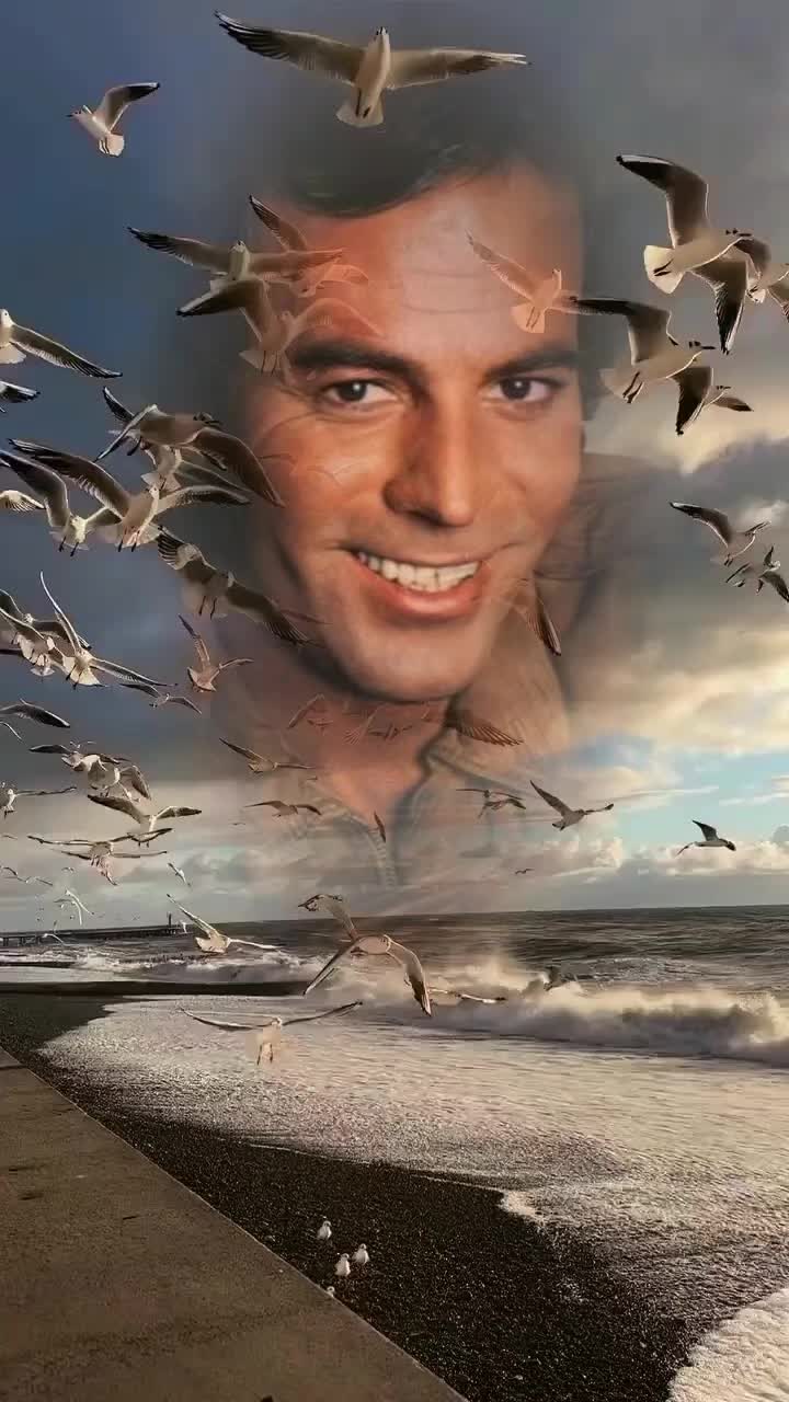 @best nostalgie alg&eacute;rienne