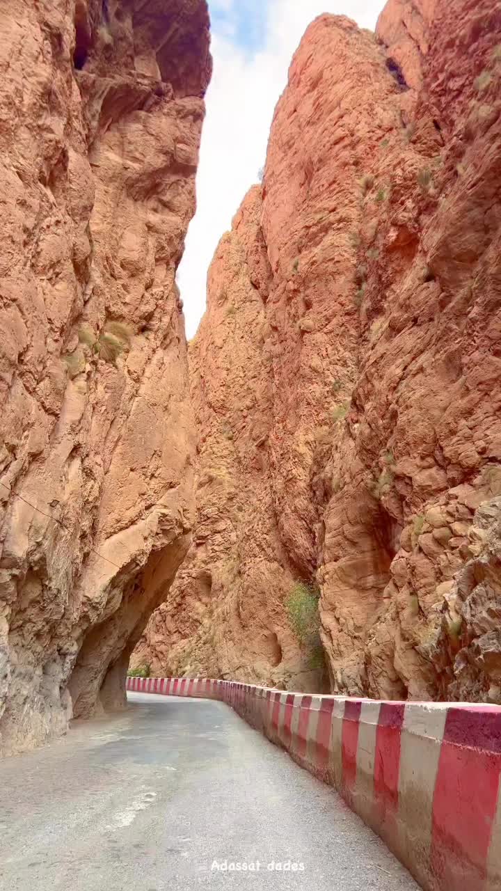 @sofyafakir