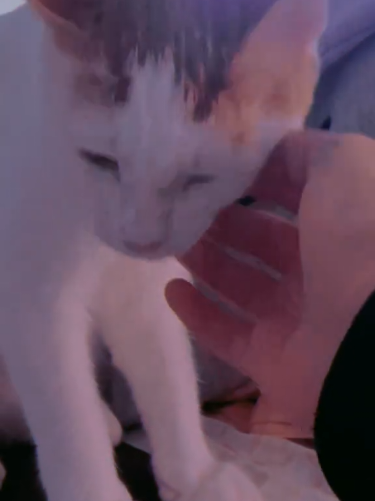 @Th3.s1lly.&otimes;n3:3