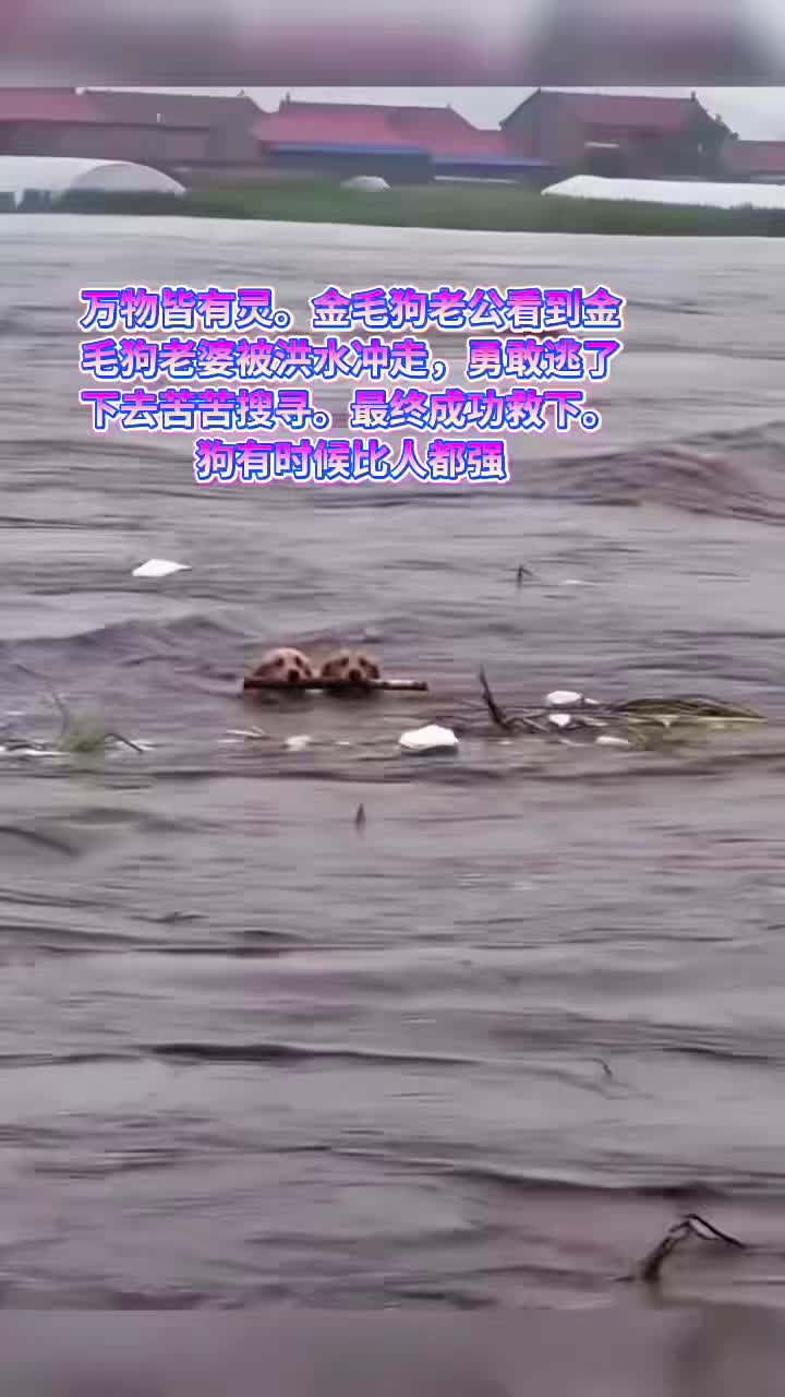 @liujiangyu