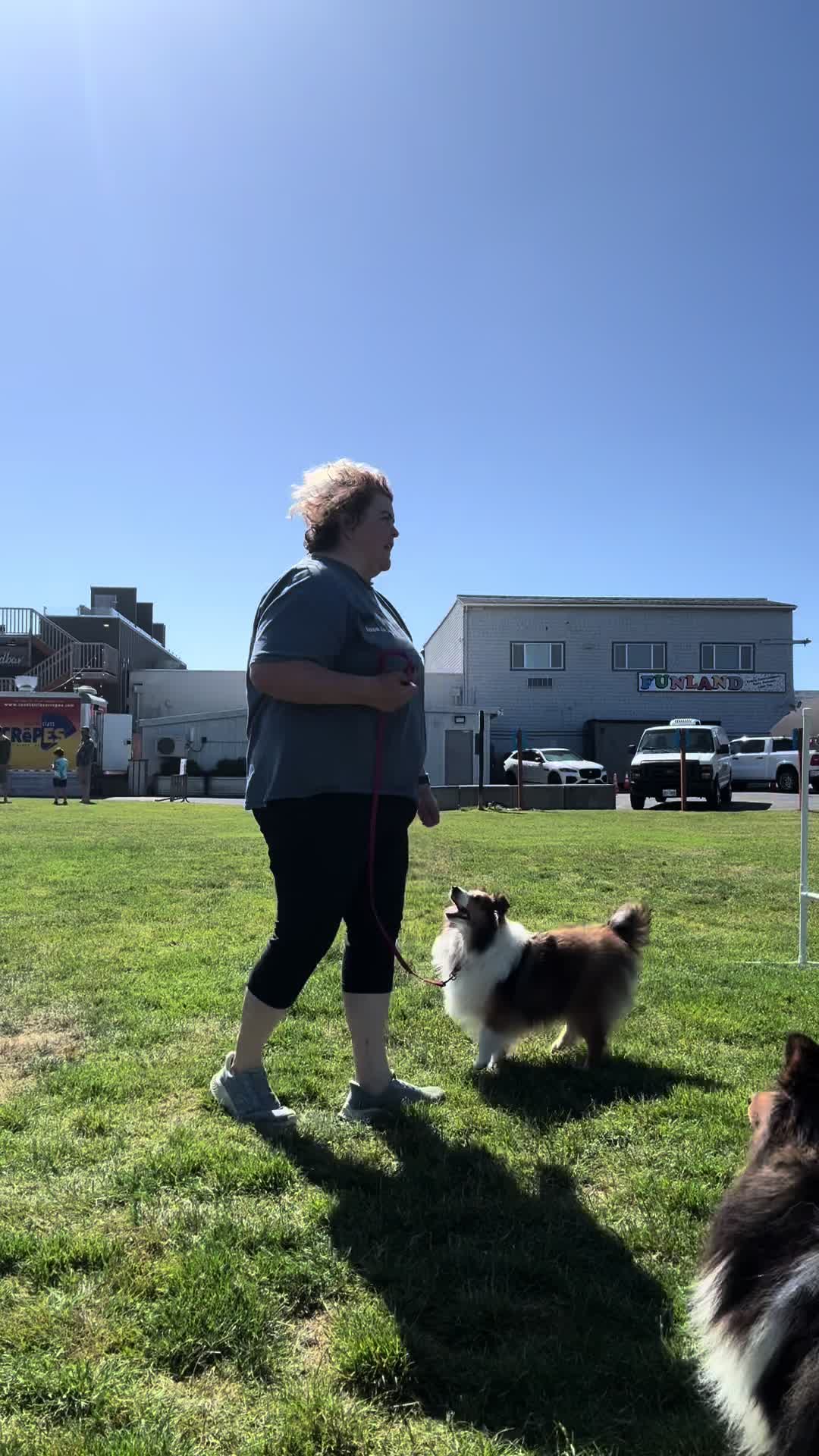 @Heather Discovery Canine Adv.