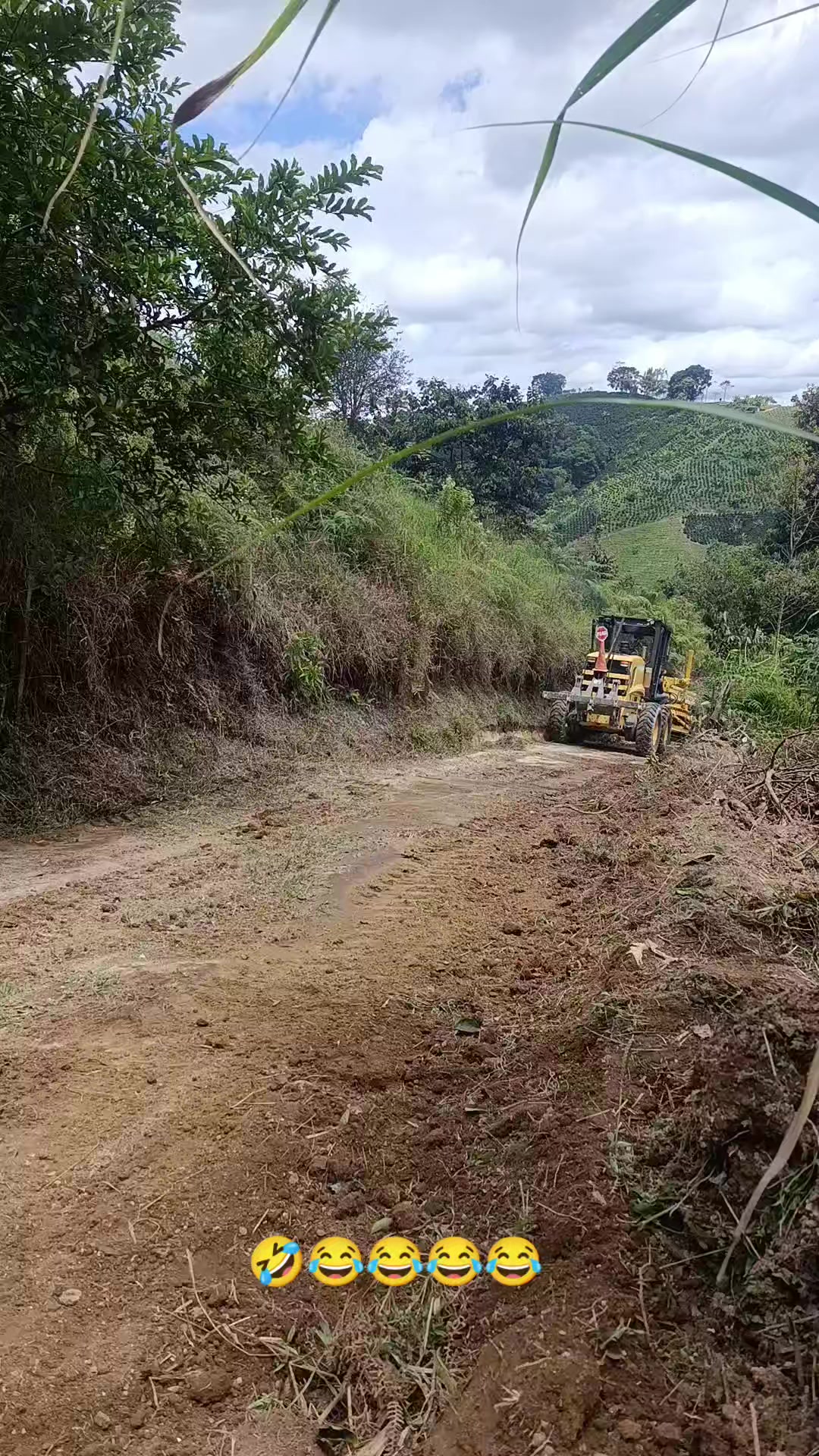 @Ramón clips