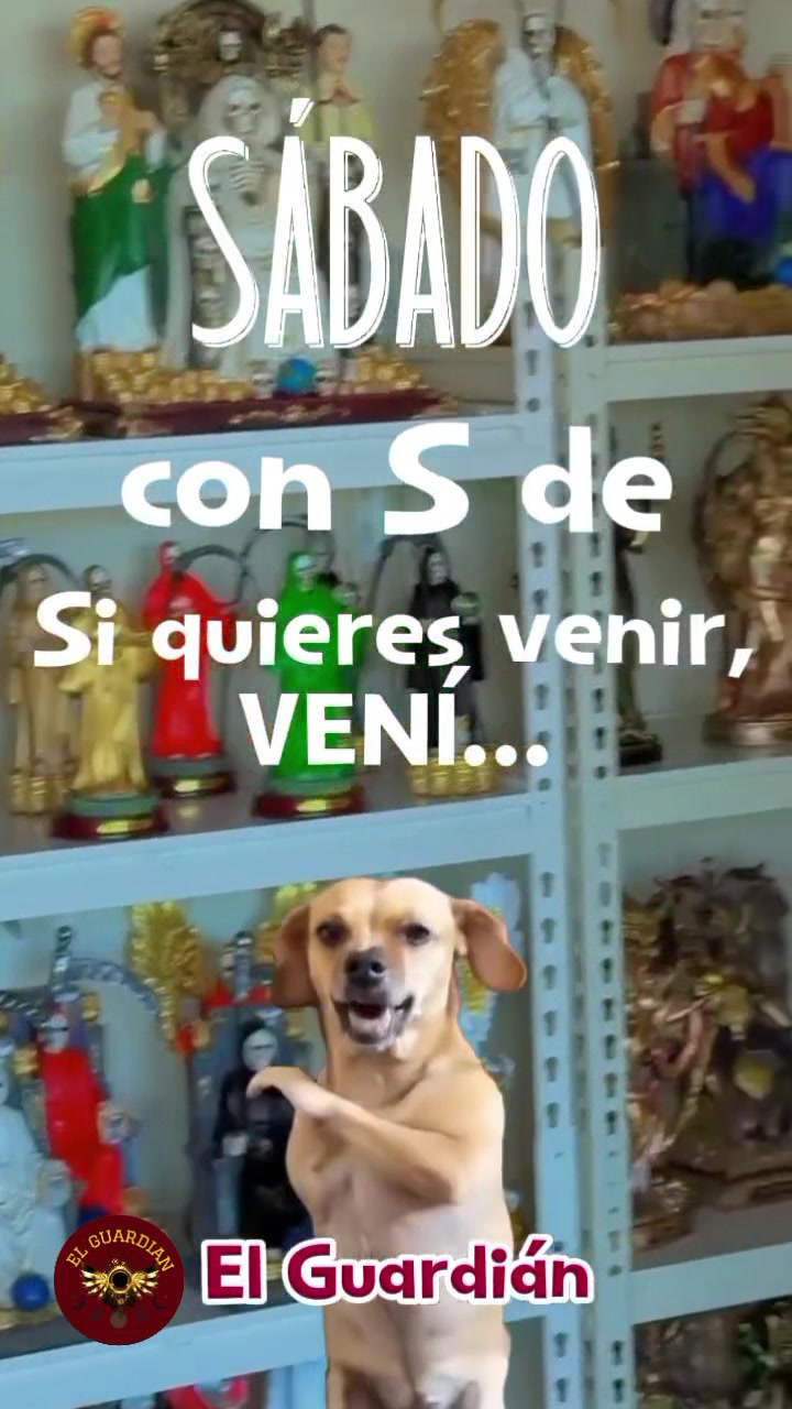 @El Guardián