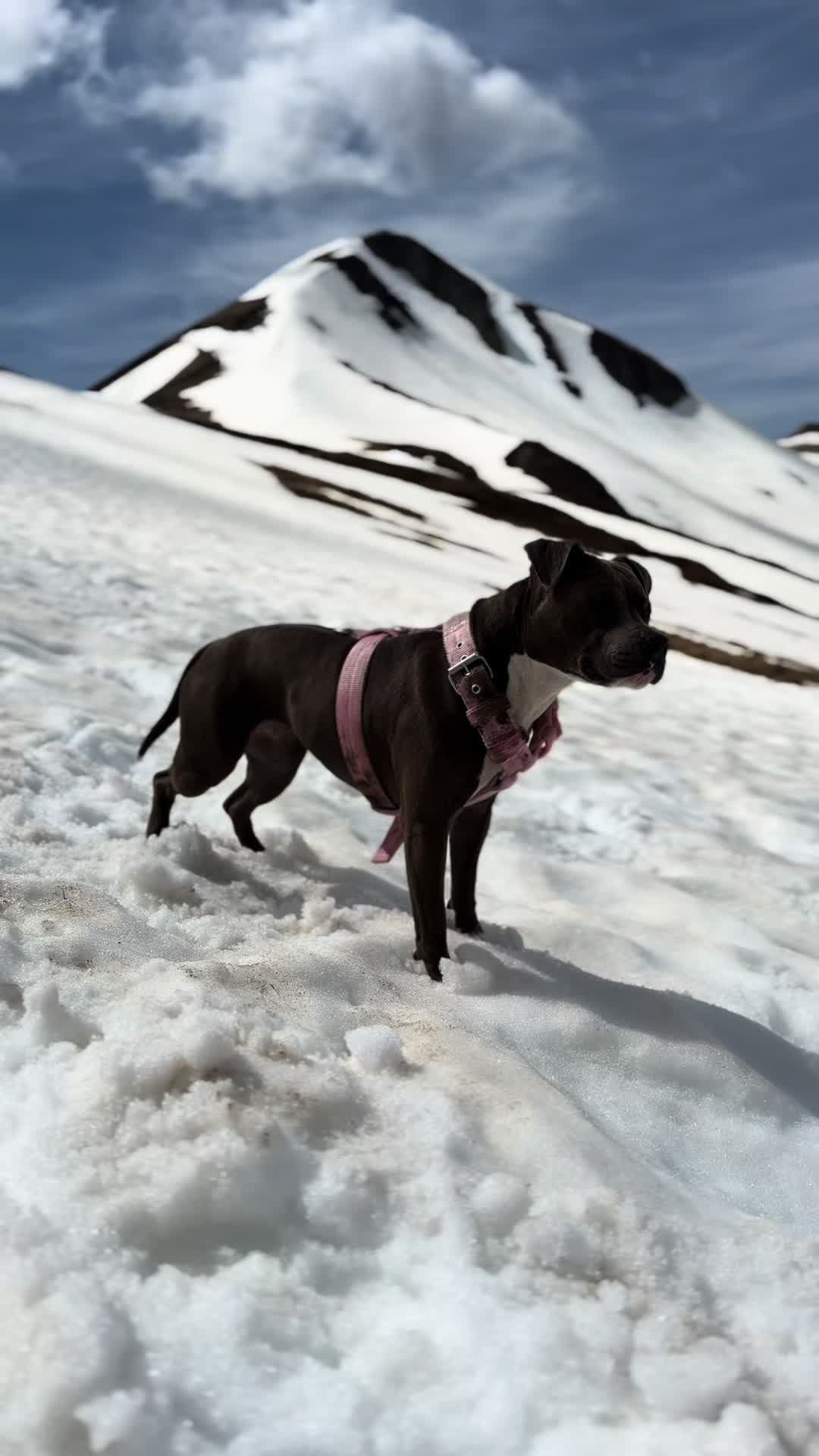 @kiara_isis_apbt