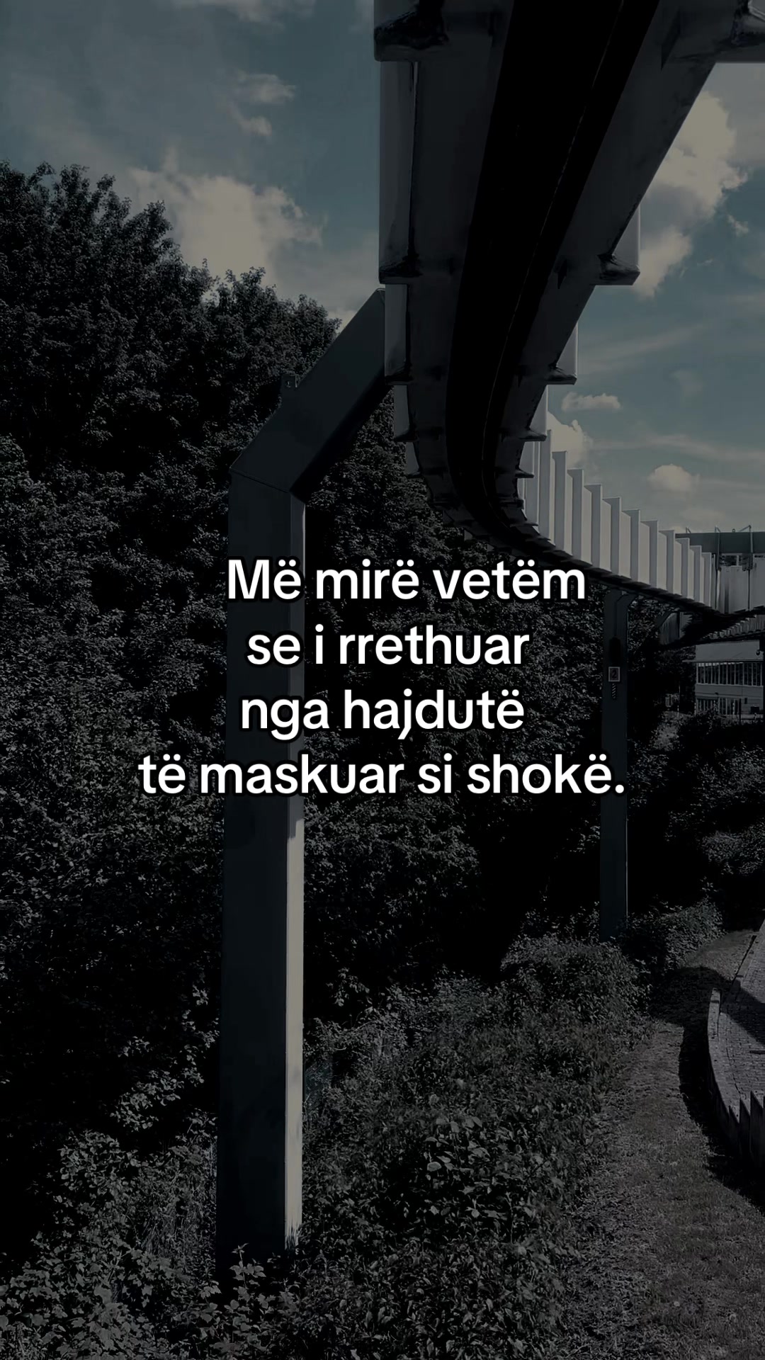 @Ilda_007🇦🇱❤️