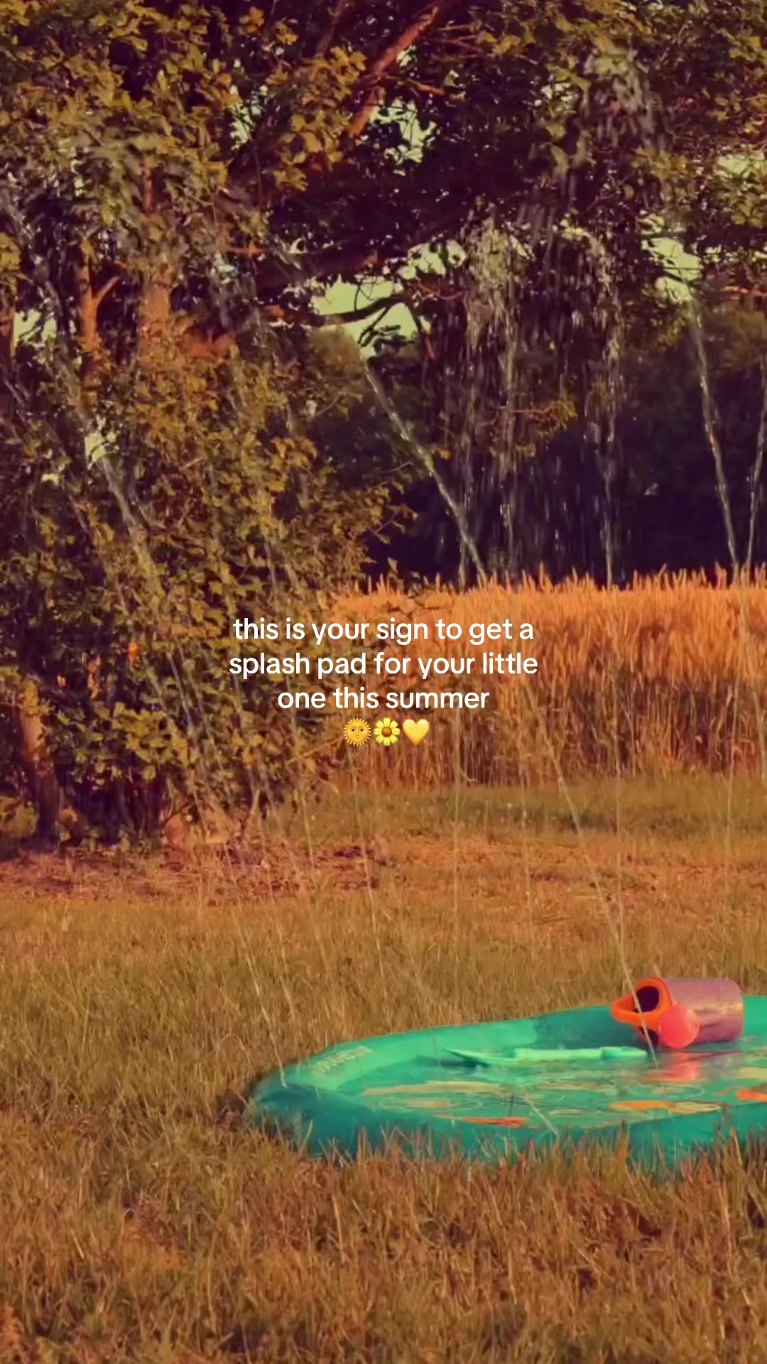 @ash🌷🧚🏼♀️🫧