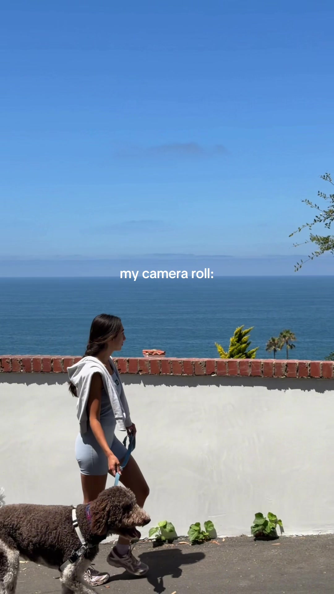 @Erika Hoang