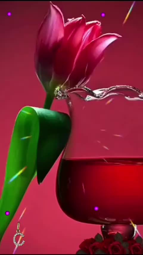 @СВЕТА