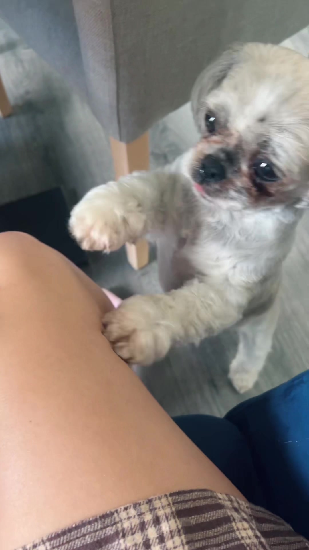 @wandalenadewolay