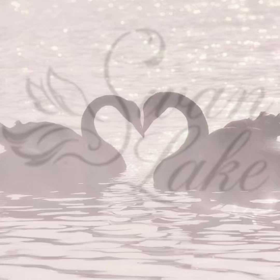 @Swan Lake 🦢