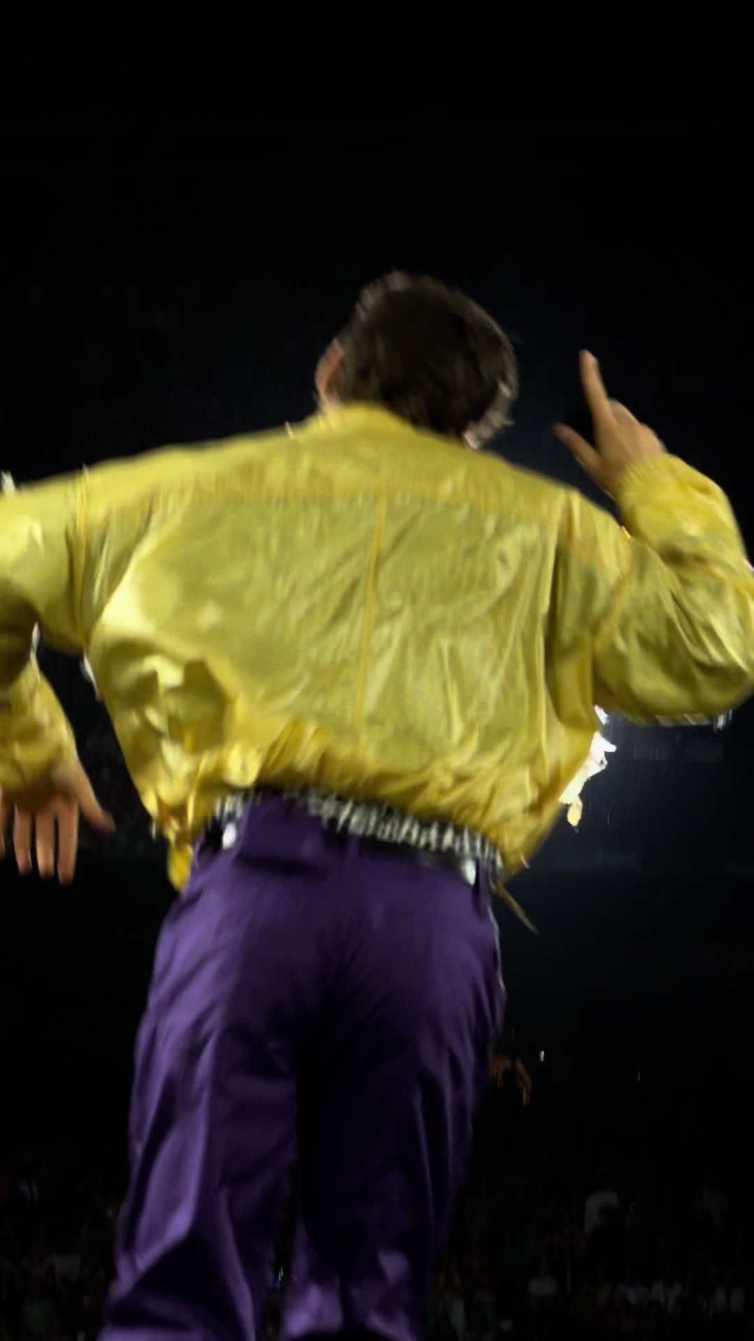 @๐๐๐ฌ๐๐ก๐ (harry’s version)