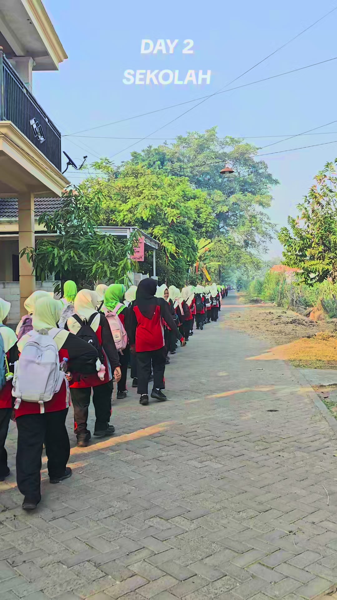 @mtsnujoho
