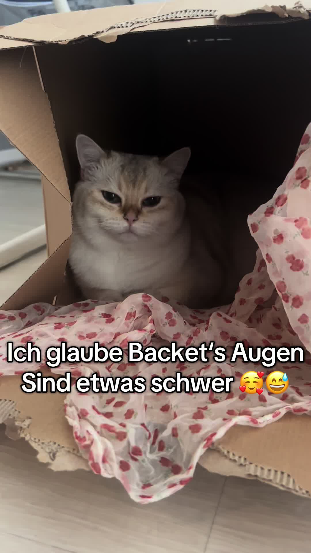 @Backet&Cosmo