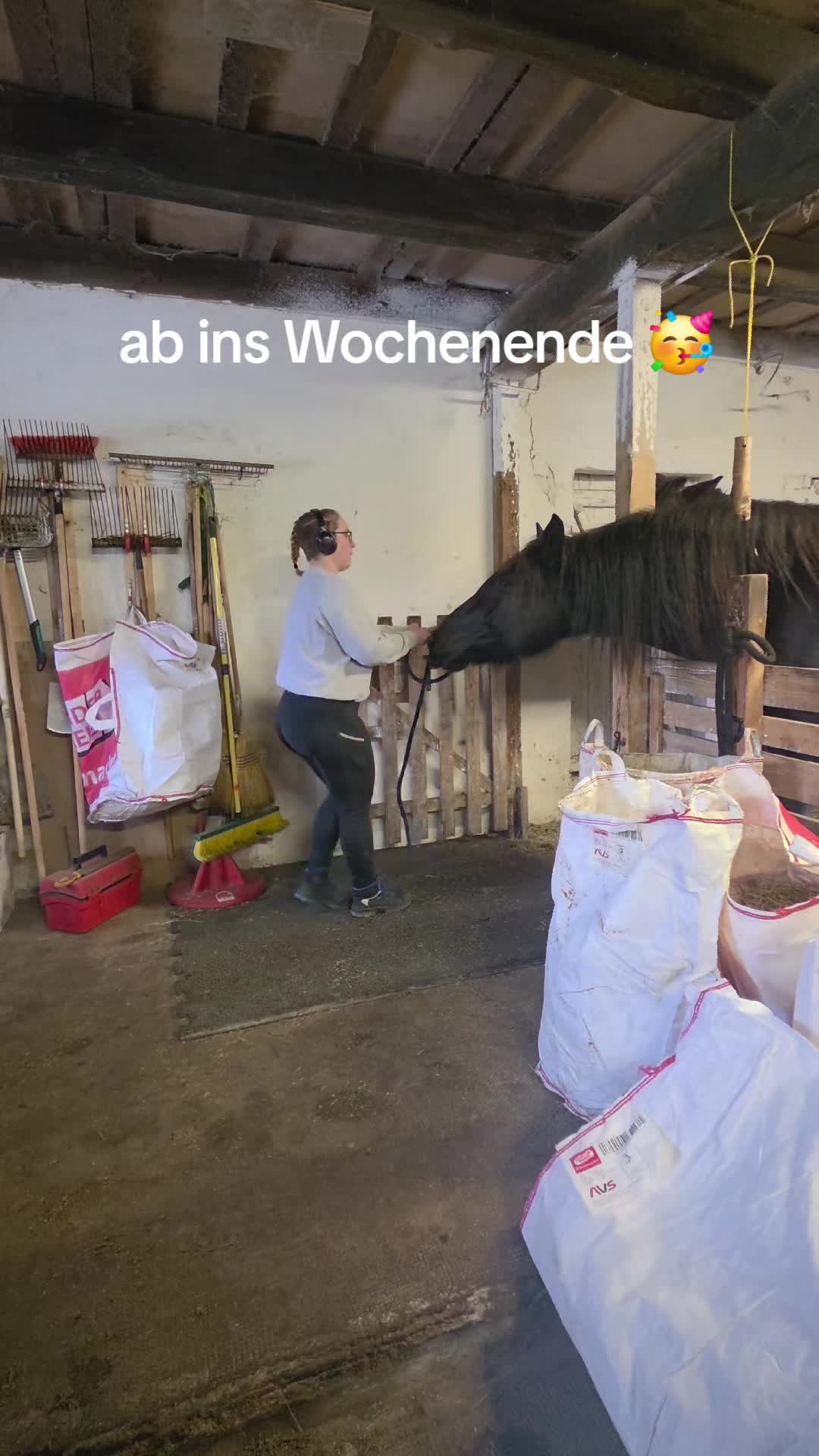 @die_van_fresserinchens