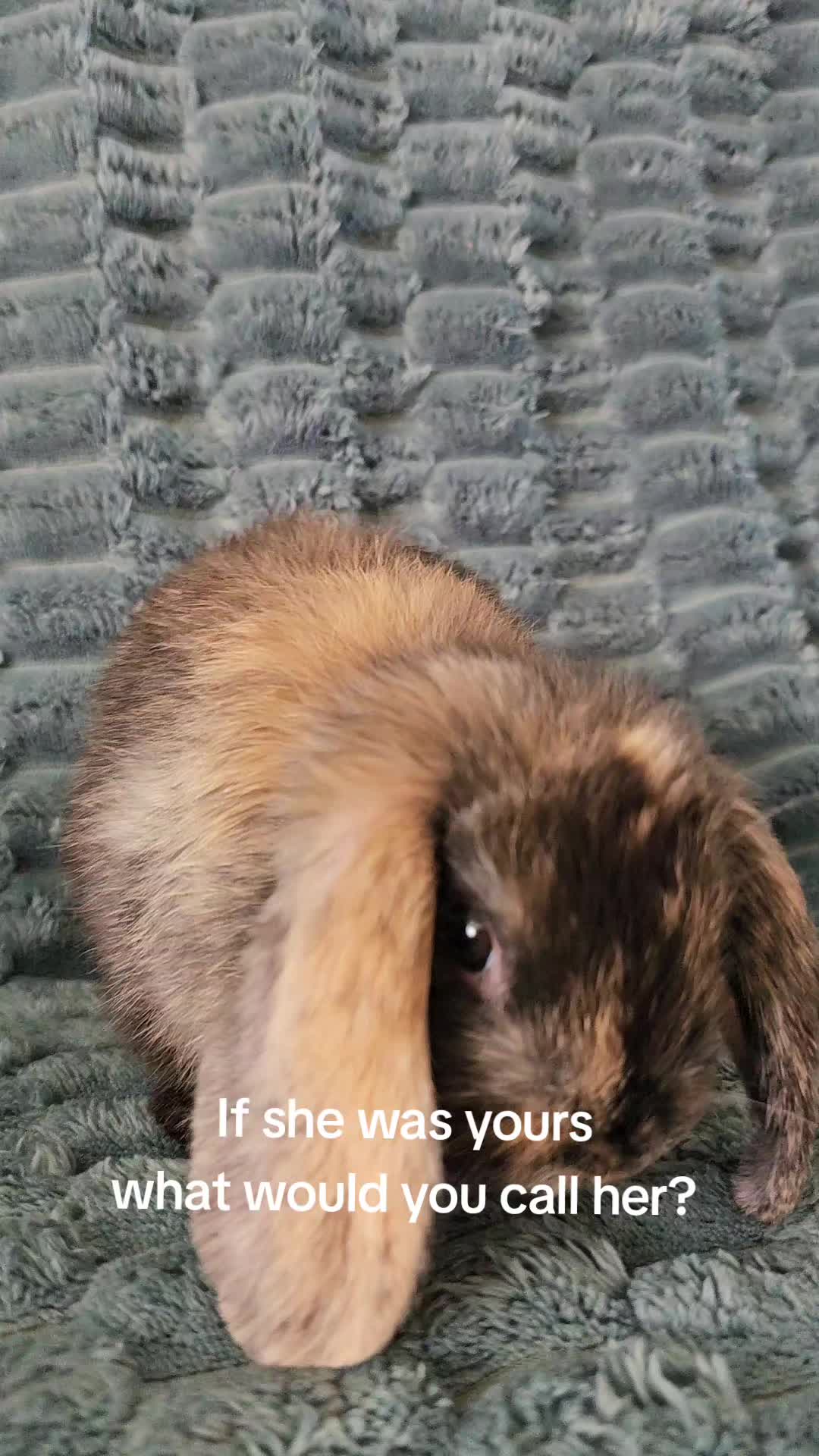 @Cassandra