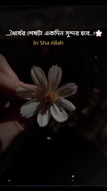 @প্রবাসির বৌ
