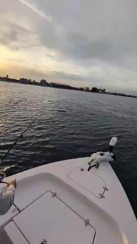 @Manasota Key Outfitters