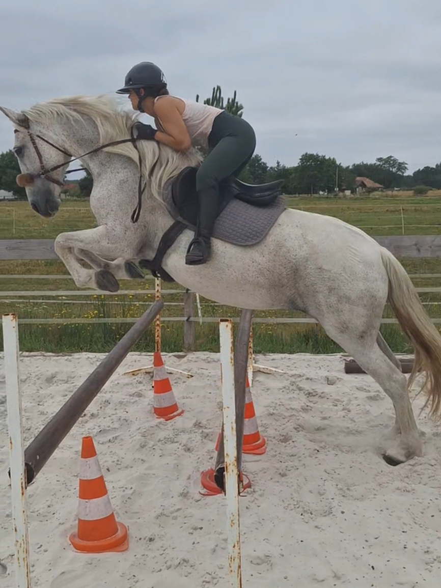 @Une.fleur.a.cheval
