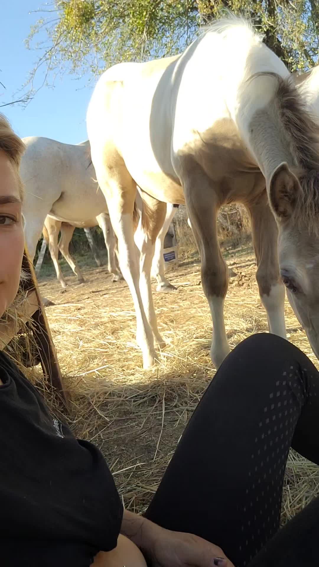 @Adaline des r&ecirc;veries ✨️🦄 ✨️